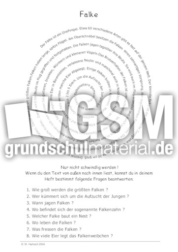 Falke.pdf